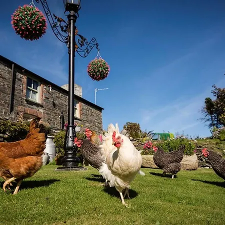 Holiday home 2 Bed In 36913 Tintagel